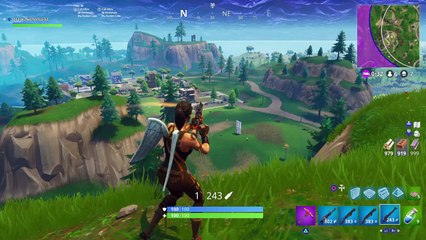 Hunting rifle shot