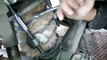 Retrouver un chat coincé dans un amortisseur de voiture...  Incroyable