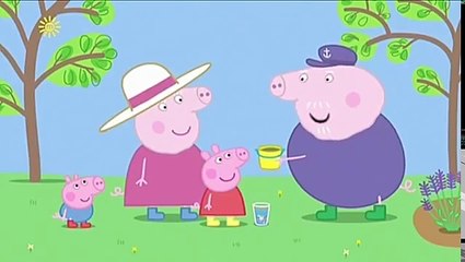 Peppa Pig English Episodes Full Episodes   New Compilation 2017   Peppa Pig in English #20 part 1/2