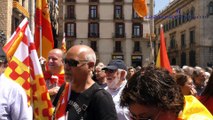 Una española llama a la «organización» en Cataluña para «defender la Democracia»