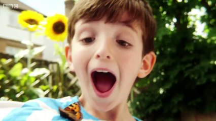 Topsy and Tim Full Episodes   S2E26  Teacher Visit