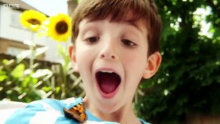 Topsy and Tim Full Episodes   S2E29  First Day