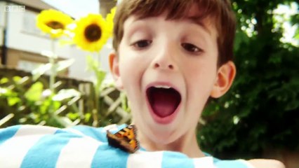 Topsy and Tim Full Episodes   S2E20  Welcome Home