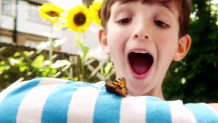 Topsy and Tim Full Episodes   S2E04  Busy Builders