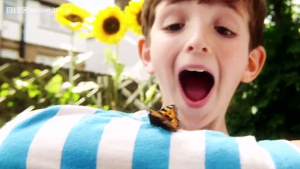 Topsy and Tim Full Episodes   S2E02  New Pet