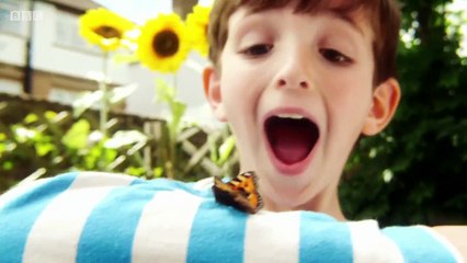 Topsy and Tim Full Episodes   S2E11  Family Tree