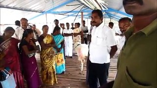 IAMWARM Goat farming training exposture visit,3 | வெள்ளாடு வளர்ப்பு