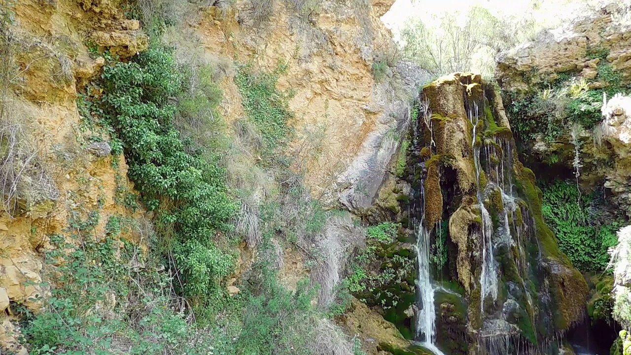 sonidos de la naturaleza animales y arroyos
