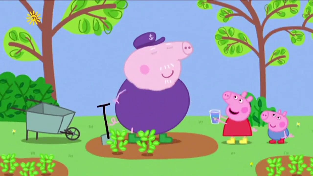 Peppa Pig English Episodes Full Episodes   New Compilation 2017   Peppa Pig in English #35 part 2/2