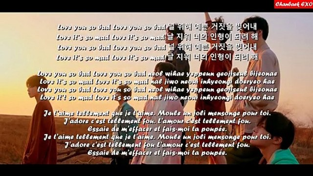 BTS - Fake Love - LYRICS - (Han-Rom-Vostfr)