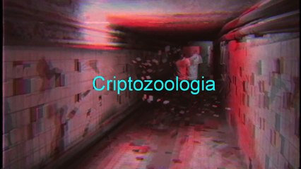 Gravação de vídeo ASSUSTADORA na Mansão Wentworth, South Yorkshire!