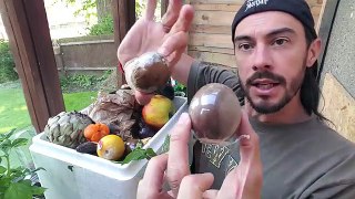 ★ How to: Grow Passion fruit from Seed (A Complete Step by Step Guide)