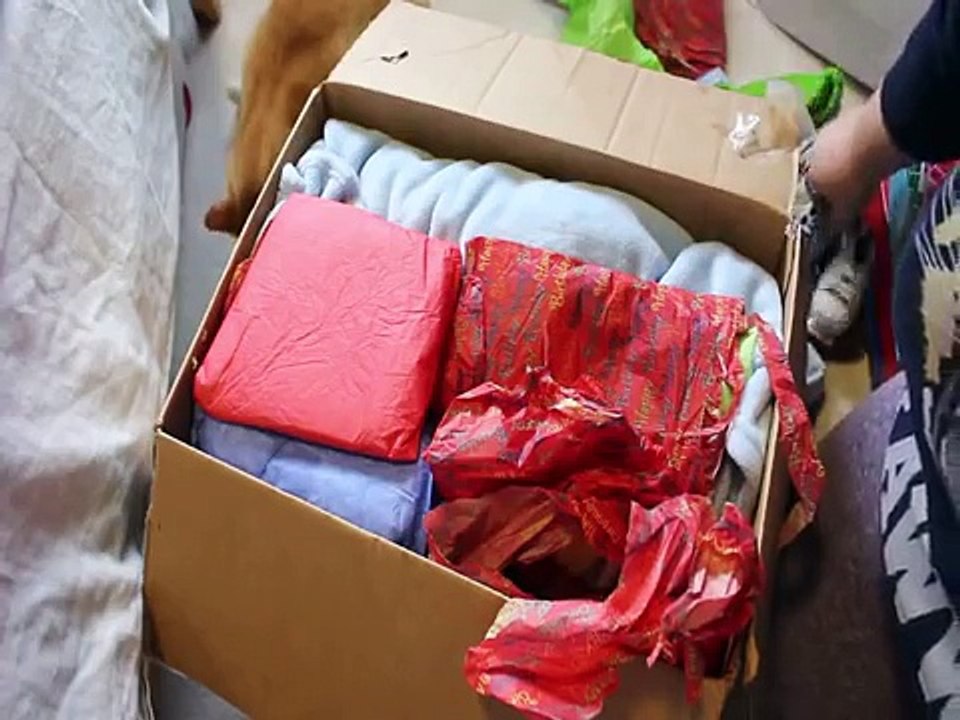 Reborn Box Opening With Lots Of Goodies