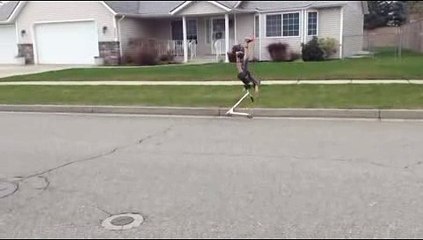 바카라사이트추천- ( ^^【 ＣARＤ328。ＣoＭ 】^^) -바카라사이트추천