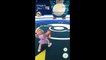 Pokémon GO Gym Battles Porygon Ditto Igglybuff Jigglypuff Wigglytuff & more