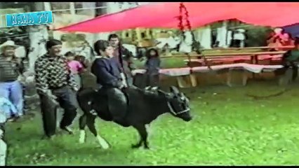 Funny Video Clips Fail Compilation 2015 Best Of Top Funny Home Videos