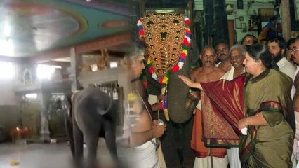 சமயபுரத்தில் பாகனை கொன்ற யானை  ஜெயலலிதா பரிசளித்ததாம்