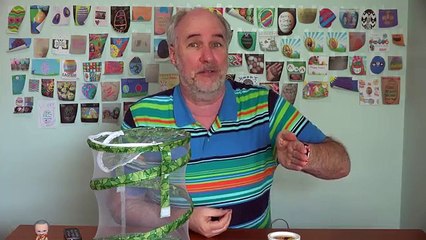 Moving the Chrysalides- Live Butterfly Garden | RainyDayDreamers in 4k CC