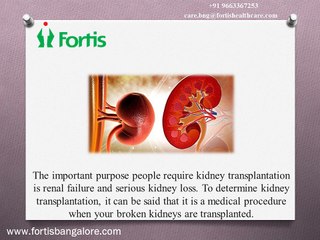 What You require To Know To Become A Kidney Transplant Contributor