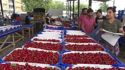 Kiraz Fiyatında Ani Düşüş