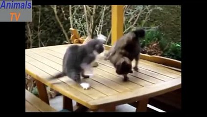 f1카지노도메인- (￥【 ＣARＤ328。ＣoＭ 】￥) -포뮬러원카지노