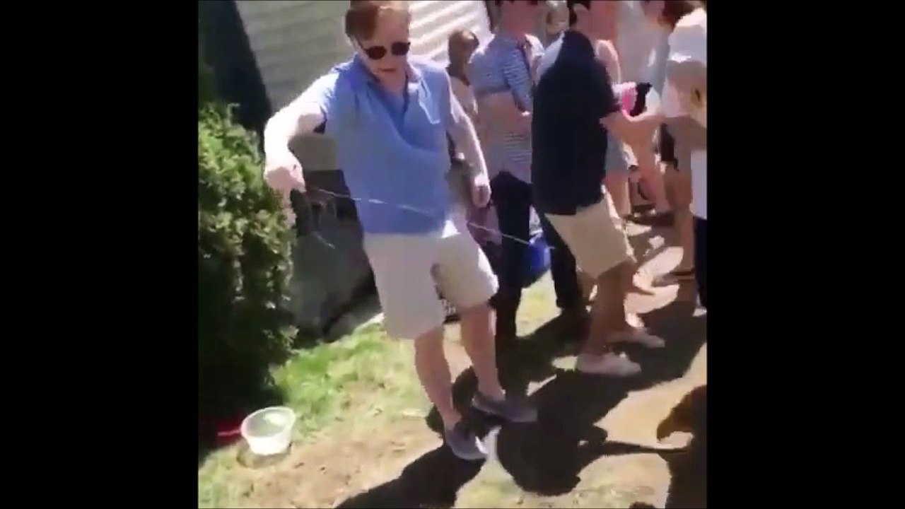 Avoir une mouche comme animal de compagnie ! Sympa...