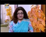 Bulbulay dakoo part 251 bulbulay haouse mai snake