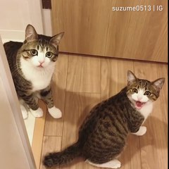 See Mom, I told you there was a red dot