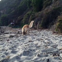keegan allen amanda cerny