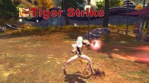 Blade and Soul Kung Fu Master Skill Animations