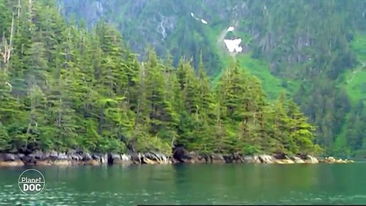 Alaska | Fragile World (Part 6)