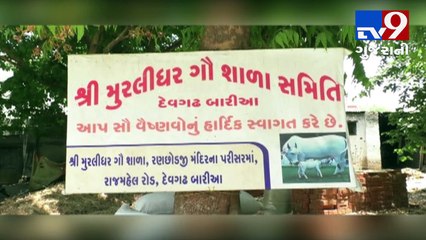 Dahod ministers forgot to keep promises, Gaushala seeking govt. help- Tv9 Gujarati