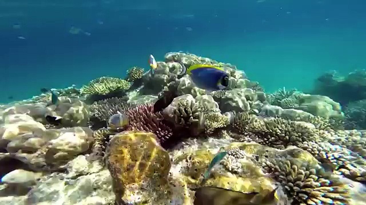 Las 10 Playas Más Hermosas Del Mundo - COMO DE OTRO PLANETA!!!