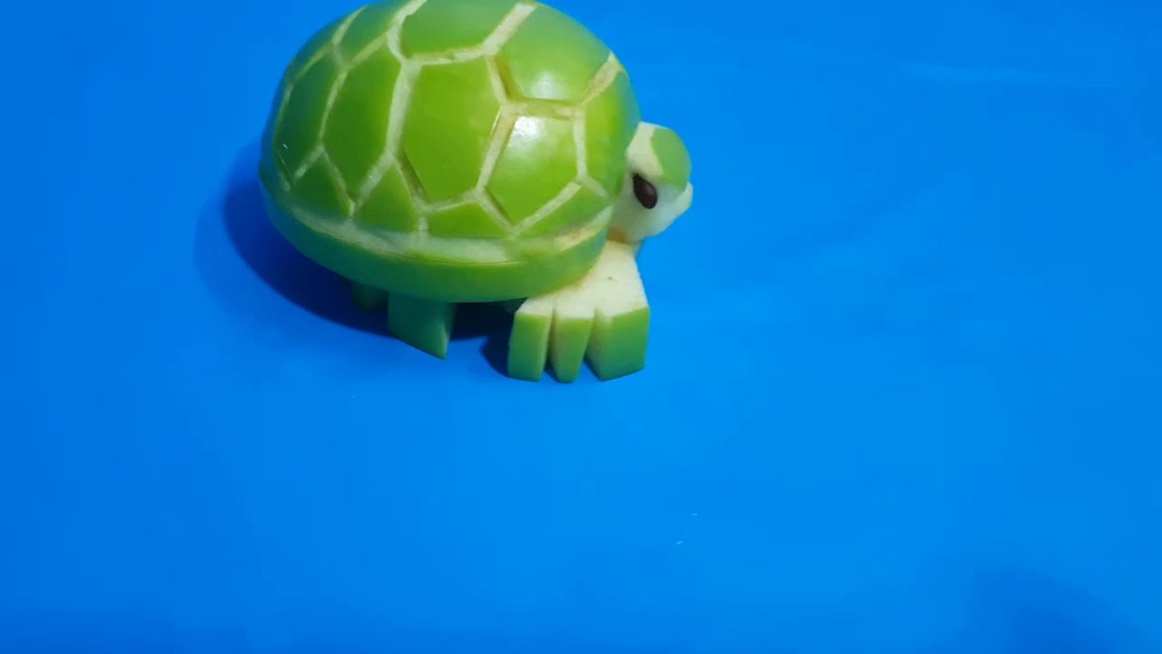 How to make a Turtle with a apple?
