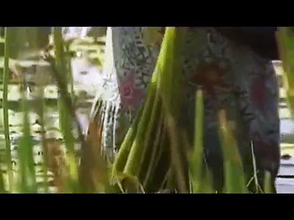 Ray Mears World Of Survival S01E02 Arnhemland