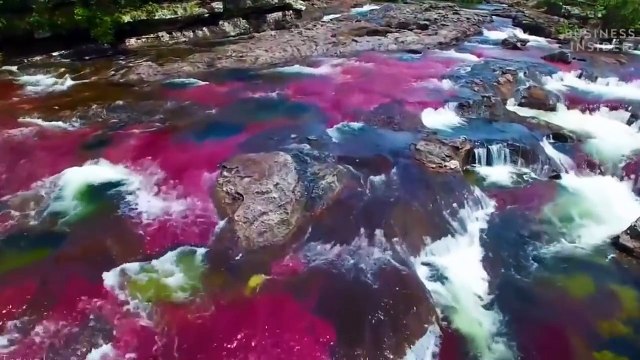 15 CHOSES INCROYABLES ET ABSOLUMENT VRAIES SUR LES FEMMES - Lama Faché