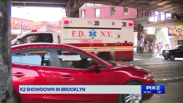 Activists Arrested While Protesting K2 Epidemic in Brooklyn