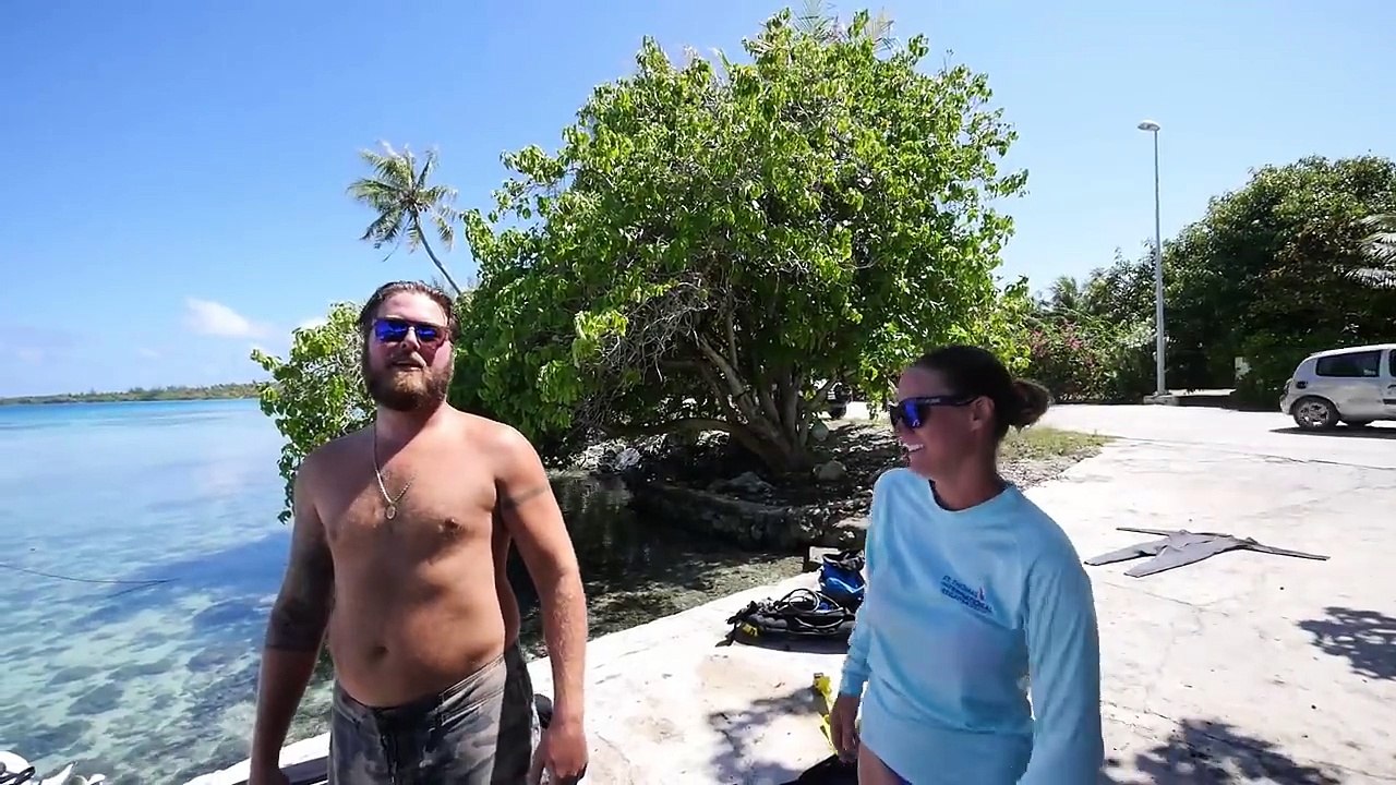 Shark Diving!  - Sailing Doodles Episode 83