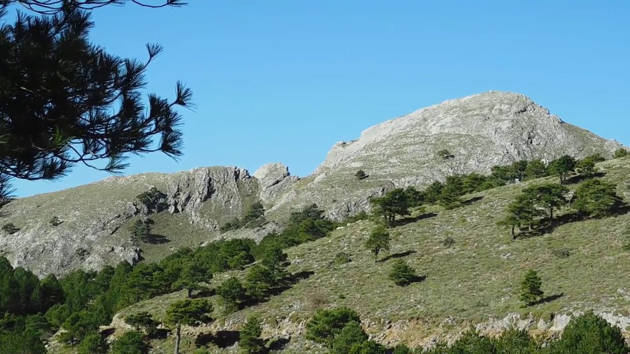 sonidos relajantes de la naturaleza .