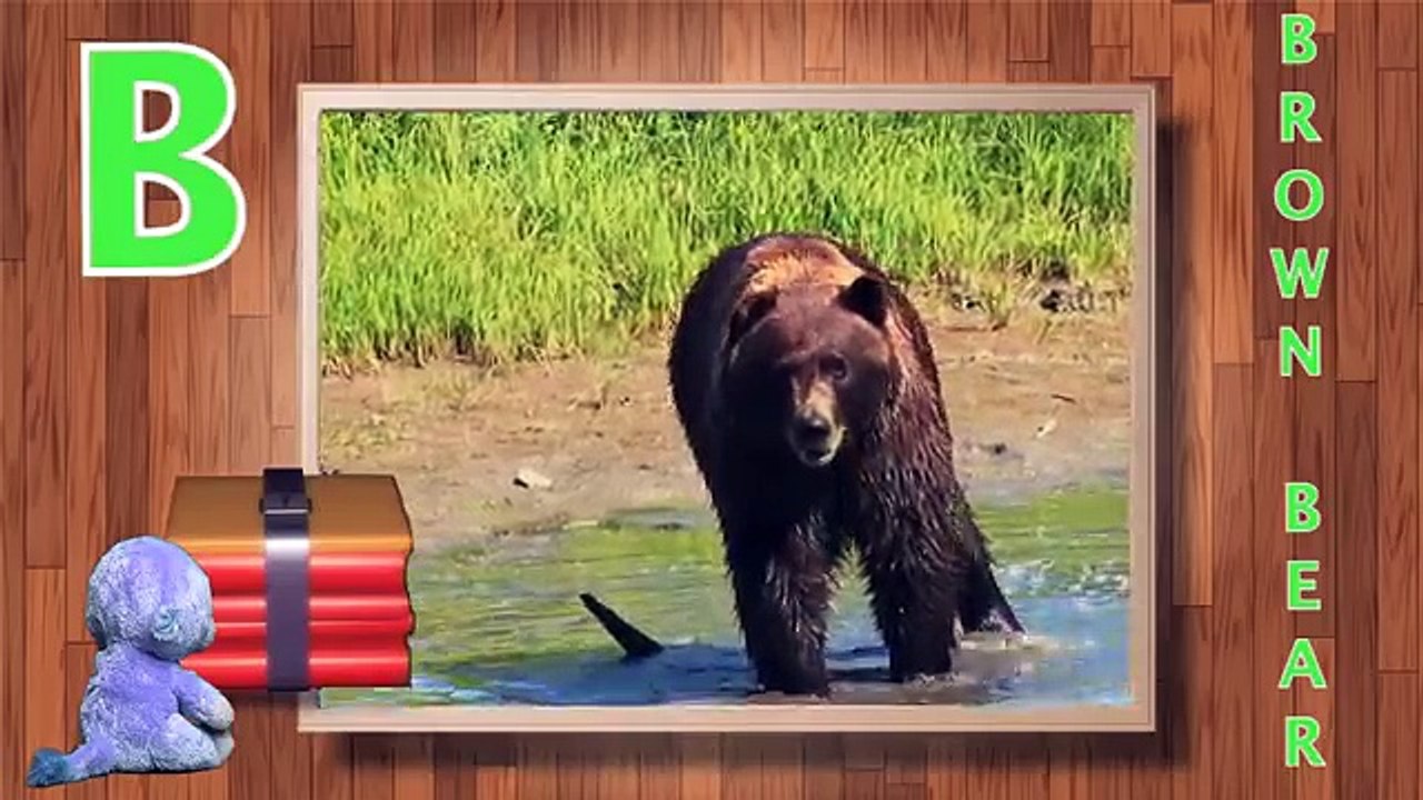 abc learning - beanie boo videos