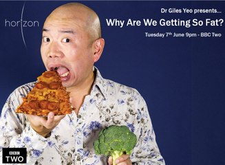 Why Are We Getting So Fat?