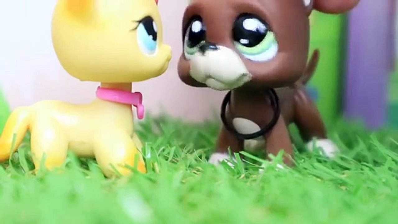 LPS: Love, Forever & Always - Sad/Emotional Film