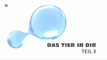 Das Tier in Dir - 2009 - 3v3 -  Vom Reptil zum Säuger  - by ARTBLOOD