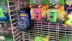 NEW SLIME SQUISHIES HALLOWEEN PUTTY AT MICHAELS - SHOPPING FOR SLIME SUPPLIES AT MICHAELS