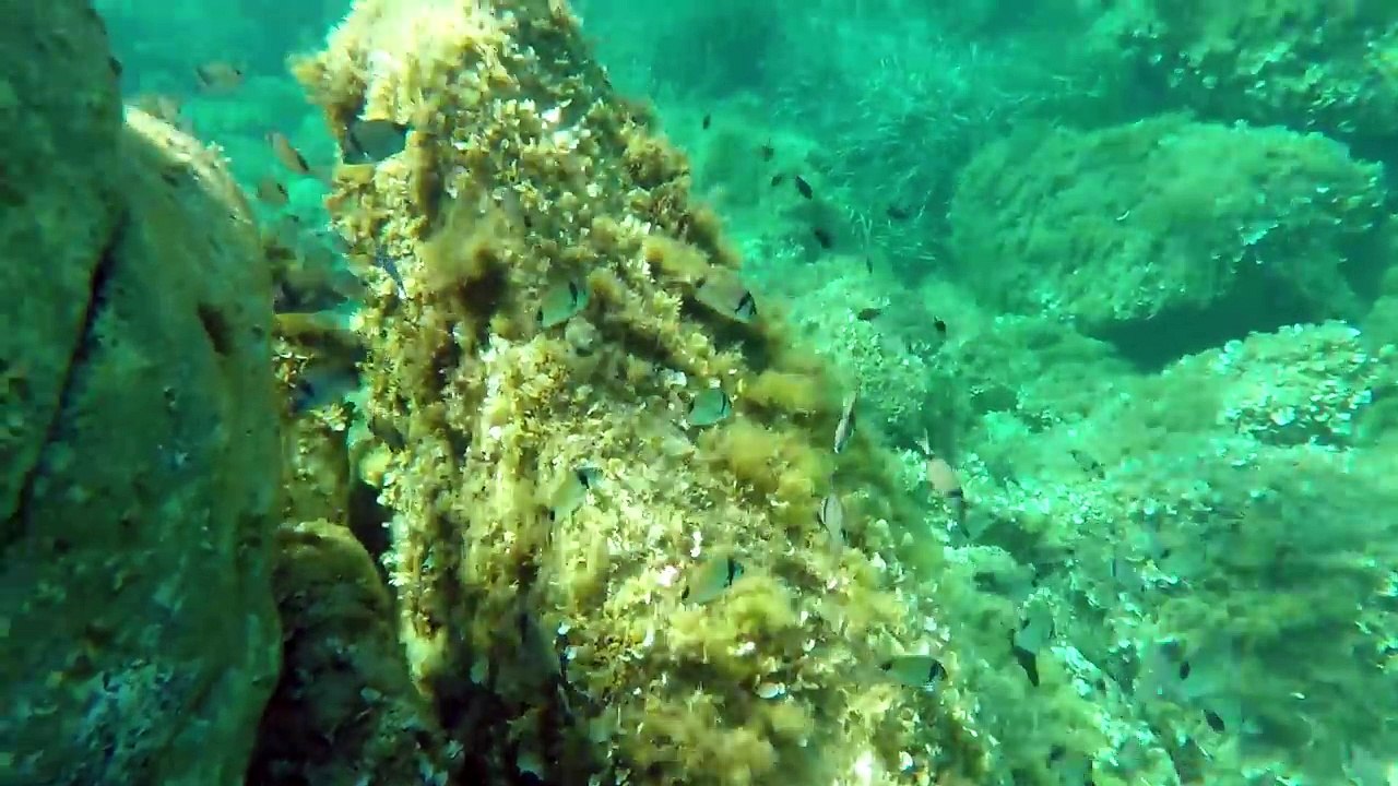 JEN A TRICHÉ _ îles LAVEZZI _ Family Vlog en Corse _ Vacances