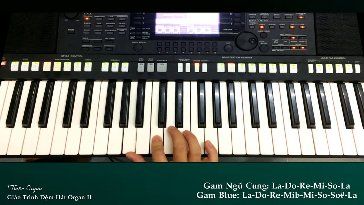 Bài 14: Chạy Gam Ngũ cung & Gam Blue