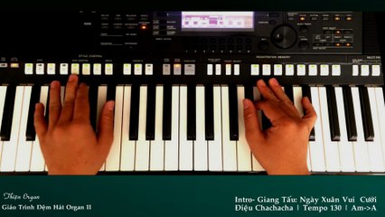 Bài 22: Intro - Giang tấu Ngày Xuân Vui Cưới