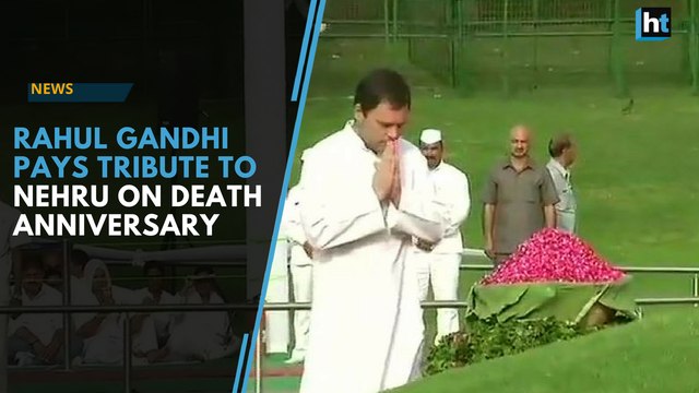 Rahul Gandhi, Congress leaders pay tribute to Nehru on death anniversary