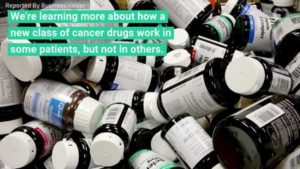 Pfizer Executives Changing Tune On Approach To Cancer