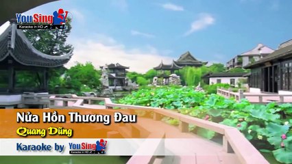 Nửa Hồn Thương Đau - Quang Dũng